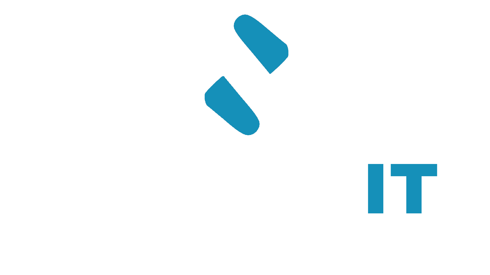 Vertix IT Solutions Provider
